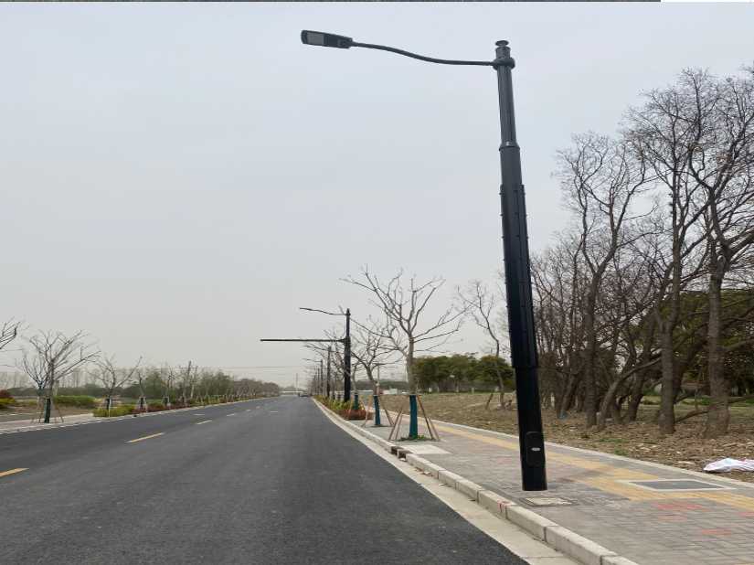 长岭县上海综合杆 太阳能路灯工程